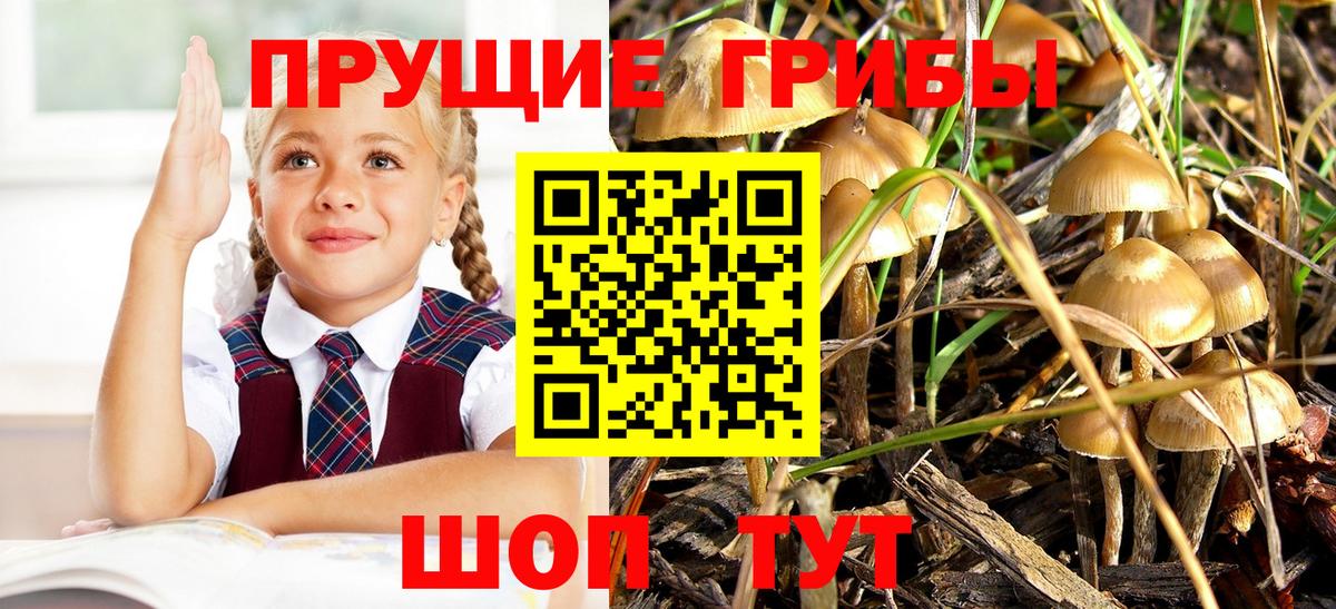 Галлюциногенные грибы Cubensis  Вход с VPN  Галлюциногенные грибы мухоморы  где найти   Кировск 