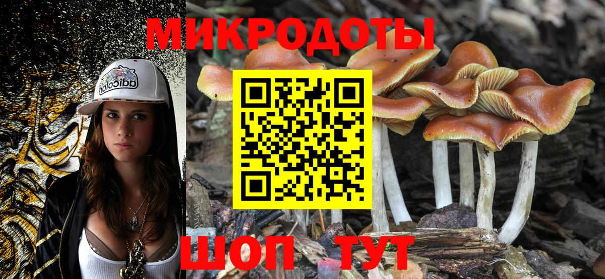 Псилоцибиновые грибы мицелий Кировск